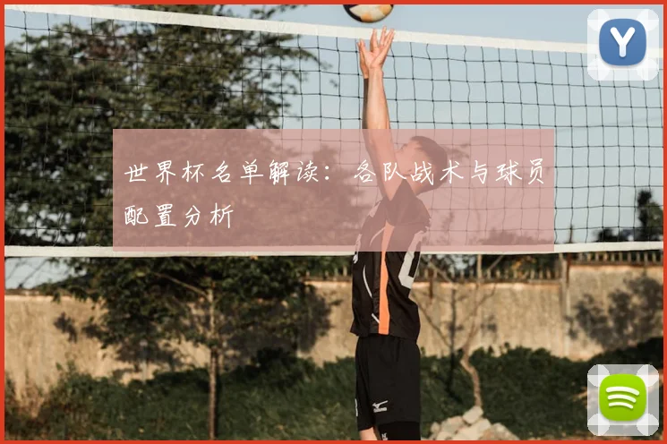 世界杯名单解读:各队战术与球员配置分析