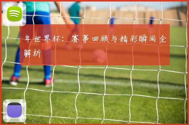 年世界杯:赛事回顾与精彩瞬间全解析