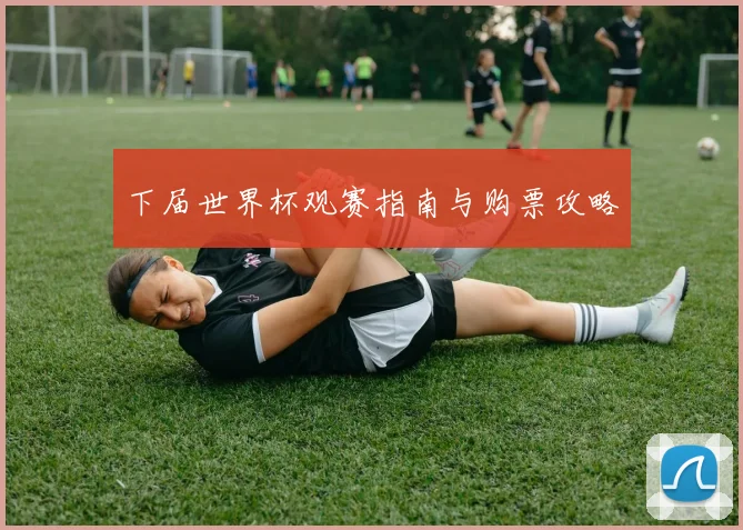 下届世界杯观赛指南与购票攻略